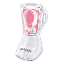 HAMILTON Beach 10sp Plastic Blender White 50166 /6