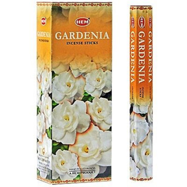 INC. GARDINIA 6-PK /24