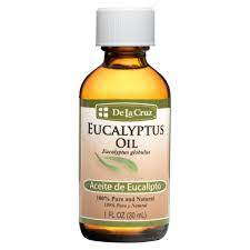 DLC PURE  EUCALYPTUS OIL 1oz  /24