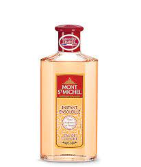 MONT ST. MICHEL INST. ENSOLEILLE 250ML /12