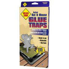 DEAD END RAT TRAP 2PKof 12 = 28 Pcs (1402)