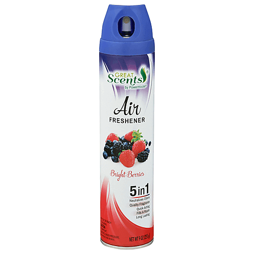 GREAT SCENTS AIR FRESHENER BRIGHT BERRIES 9oz/12