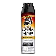 HOT SHOT ROACH & ANT FRAGANCE FREE 17.5oz/12