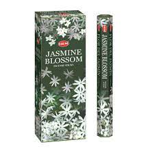 INC. JASMINE BLOSSOM 6-PK /24