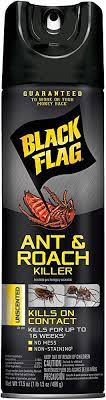 [891549110318] BLACK FLAG SPRAY ant & roach unsc. 17.5oz /12