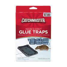 [029049104036] Catchmaster GLUE Traps (104-12 French) 12pk X 4 = 48